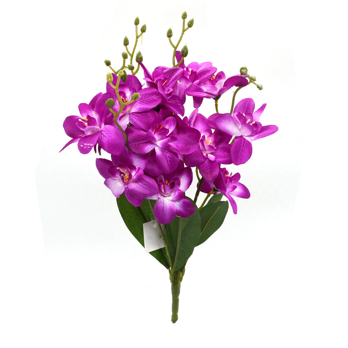 Buchet dendrobium mov