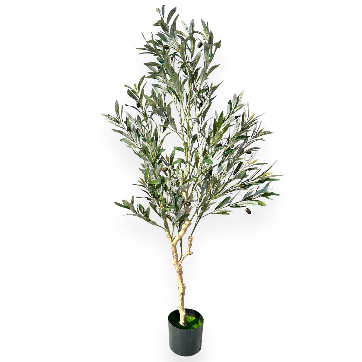 Planta Artificiala Premium - Maslin 140CM