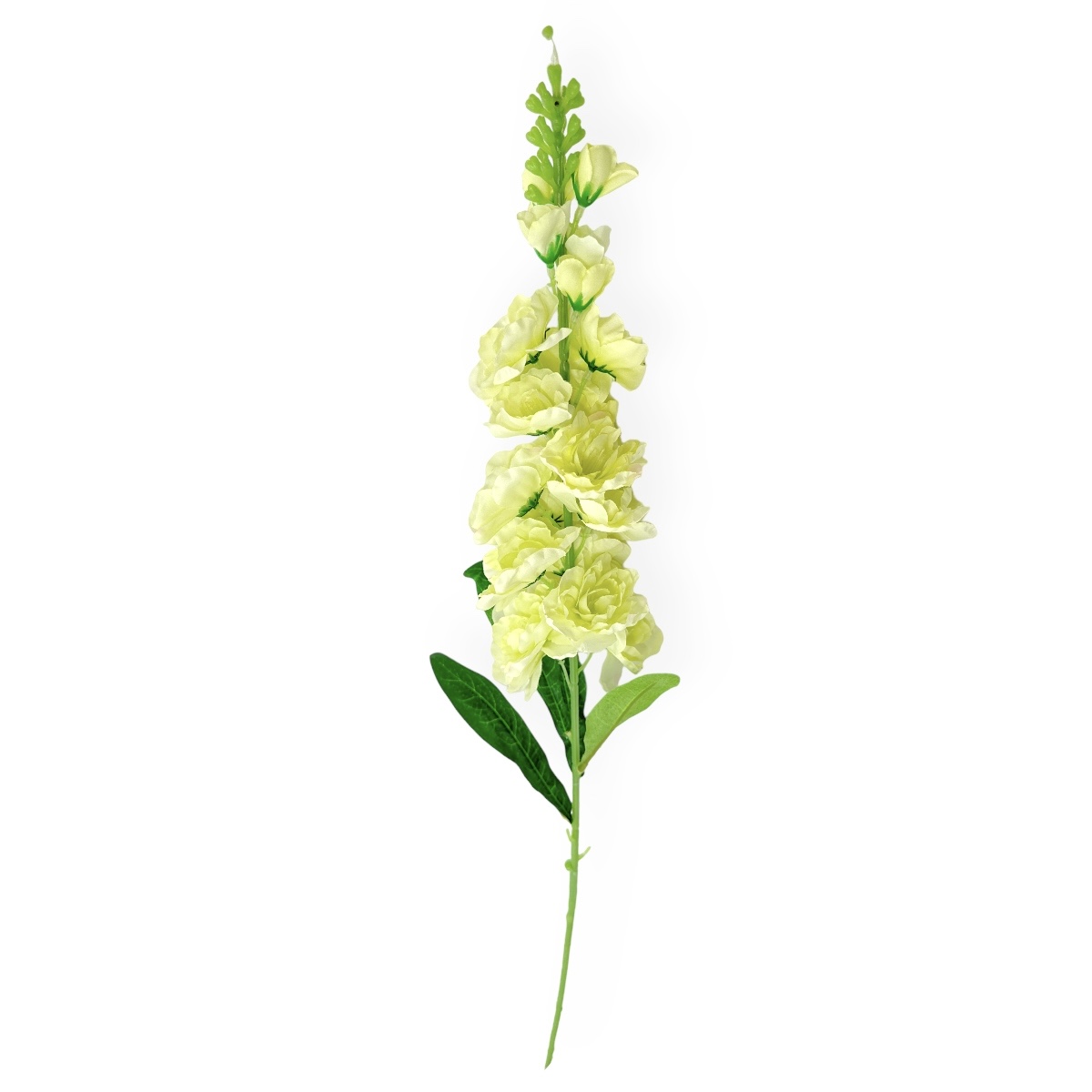 Fir Delphinium Neo Lemon