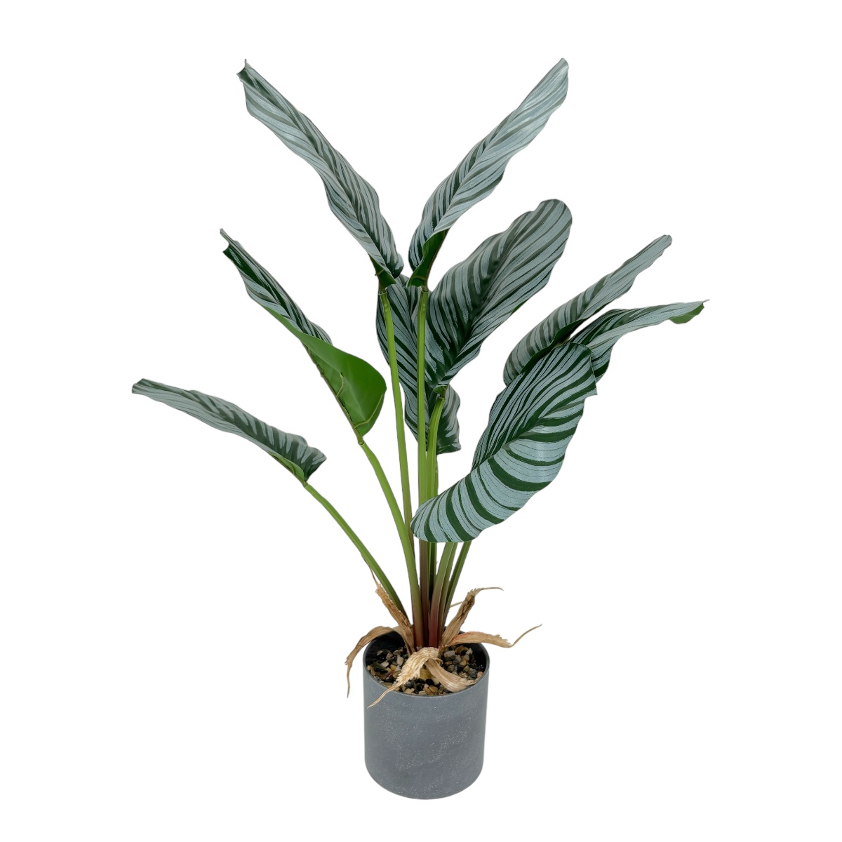 Planta Artificiala Calathea Ornata 60CM