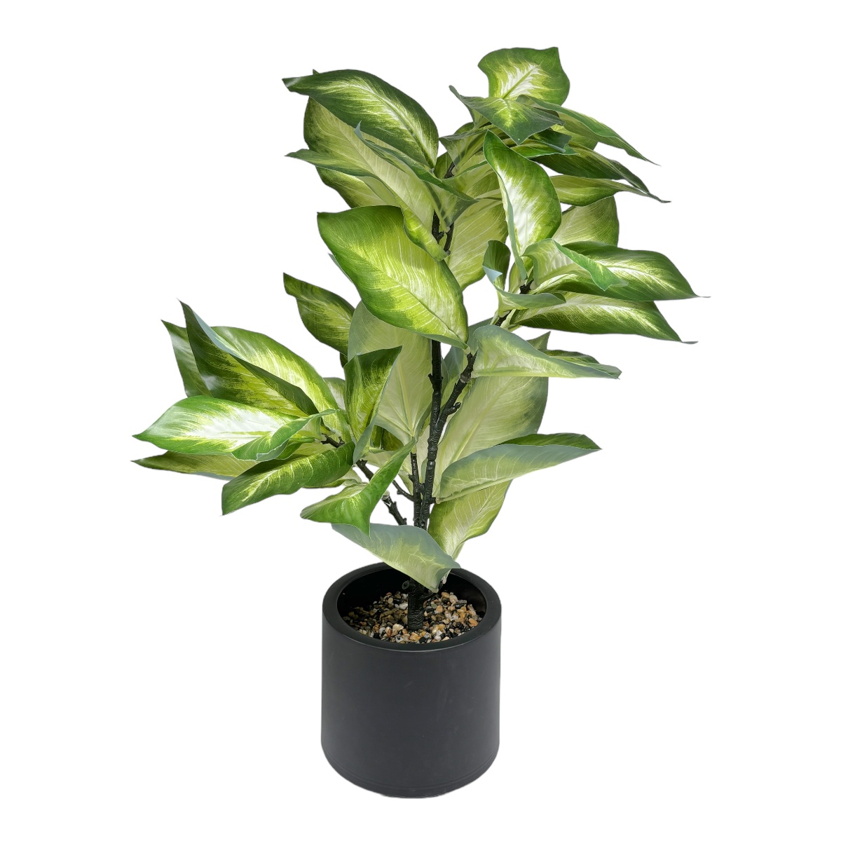 Planta Artificiala Dieffenbachia 70CM