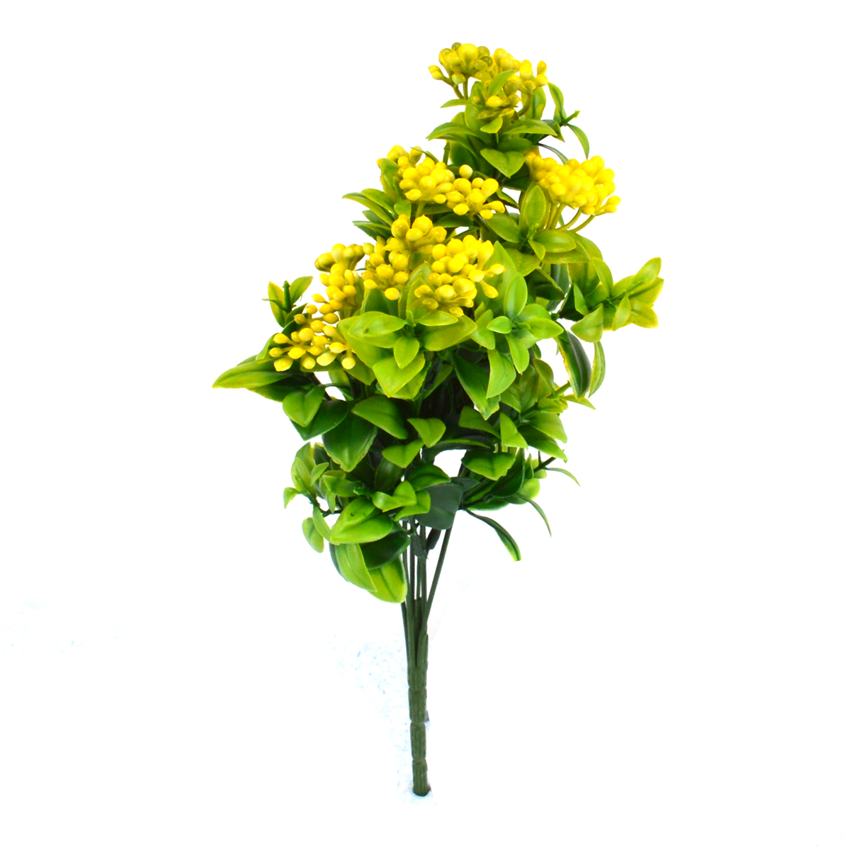 Buchet Kalanchoe Verde cu Galben