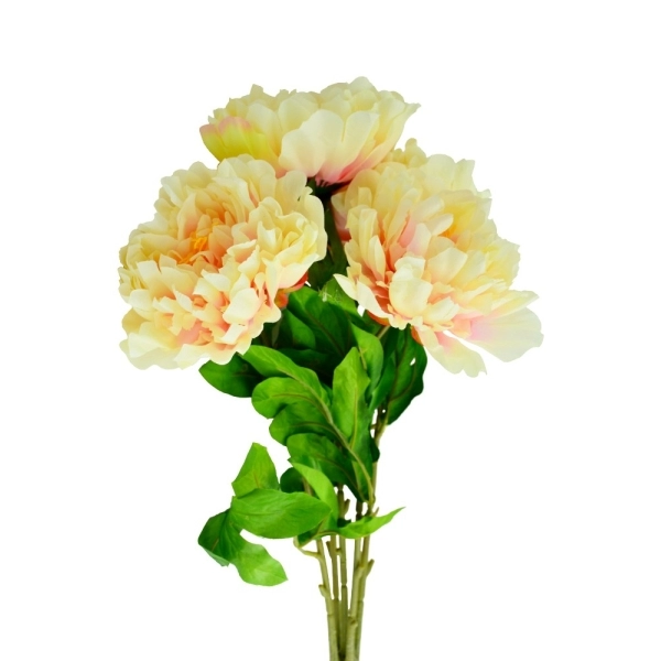 Buchet 5 Fire Dalie Frez